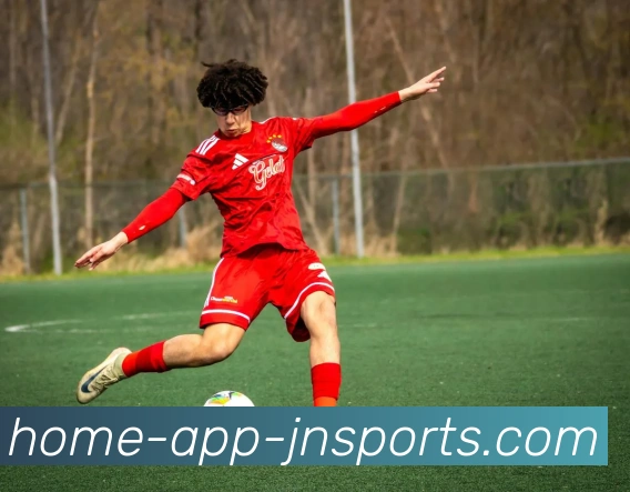 江南体育APPAPP 封面图